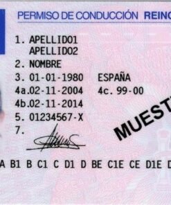 Spain driver’s licence